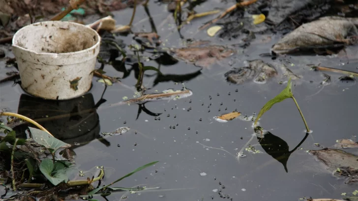 Necochea adhirió a la campaña de desencharcado para prevenir el dengue