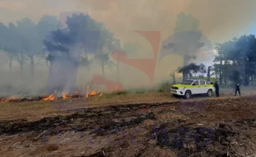 Más de 15 hectáreas consumidas por el fuego en Quequén