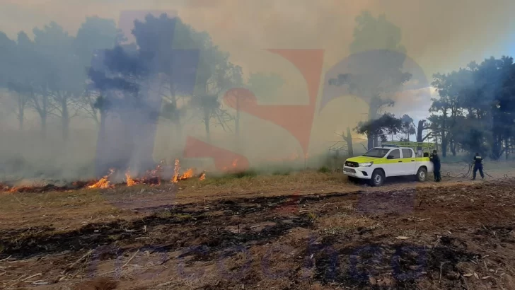 Más de 15 hectáreas consumidas por el fuego en Quequén