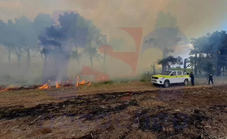 Más de 15 hectáreas consumidas por el fuego en Quequén