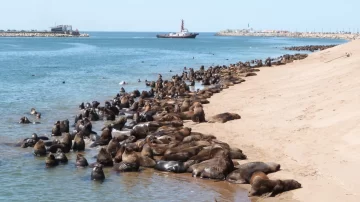 El clima engalana a Necochea en su cumpleaños