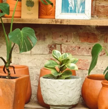 Feria de las madres en Casa Frutal