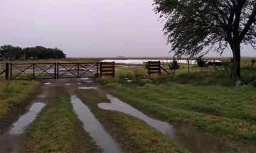 Registro de lluvias en Necochea y la región