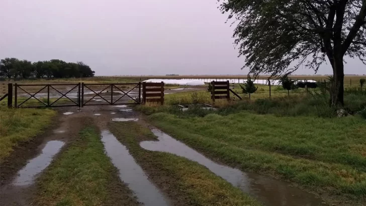 Registro de lluvias en Necochea y la región