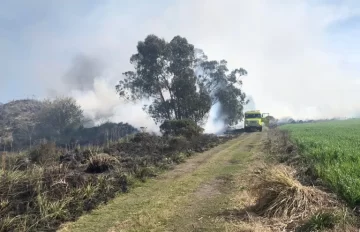 Se quemaron más de 10 hectáreas en ruta 55