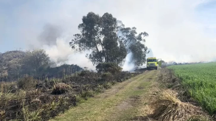 Se quemaron más de 10 hectáreas en ruta 55