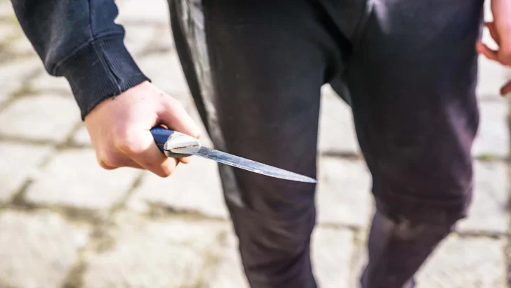 Le robó a una familia y al quedar en libertad los amenazó durante varios meses