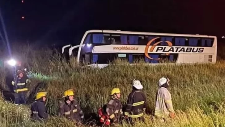 Falleció el conductor de un ómnibus tras despistar en ruta 2