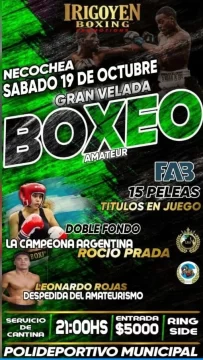 velada-boxeo2-411x728