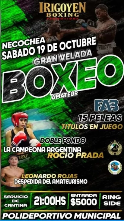 velada-boxeo2-411x728