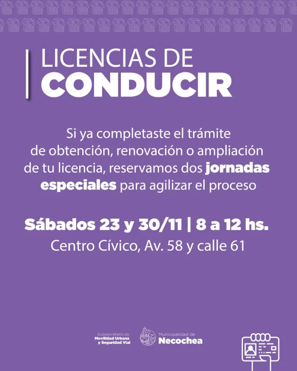 21-11-PLACA-Licencia-de-Conducir-582x728