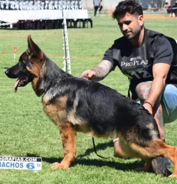 Los Ovejeros Alemanes de Necochea conquistan el Subcampeonato Regional