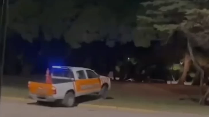 Por arriba de la plazoleta: persecución en el Parque Miguel Lillo
