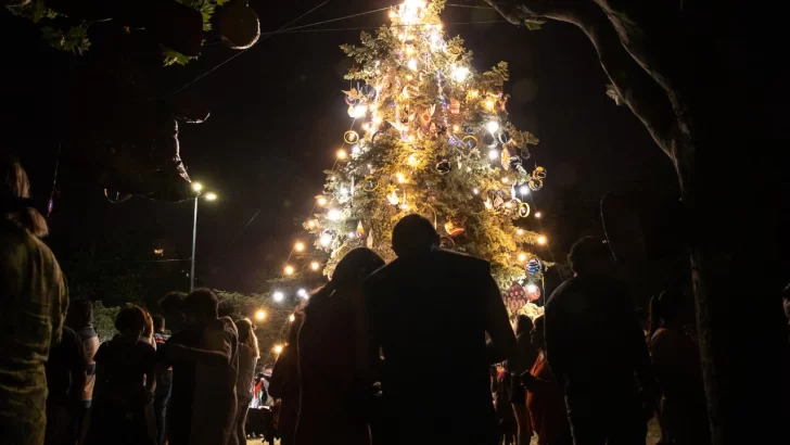 ¿Cuándo se realiza el  tradicional encendido del arbolito de Navidad?