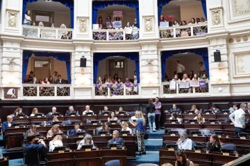 Diputados: el acceso a la cuota alimentaria es ley en la Provincia