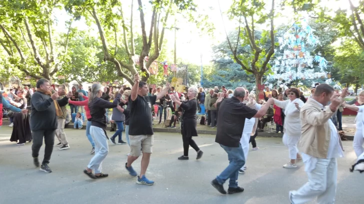 Fiesta en la plaza con el encendido del árbol de Navidad