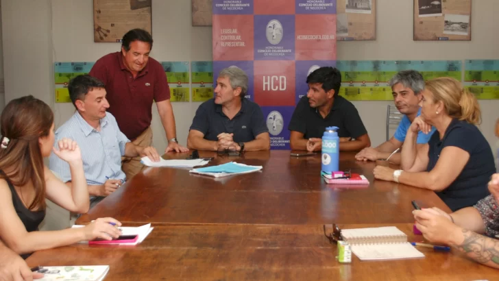 Concejales analizaron la nueva moratoria municipal