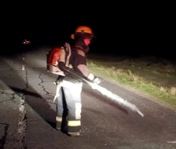 Intervención de Bomberos por Derrame de Cereal en Ruta 86