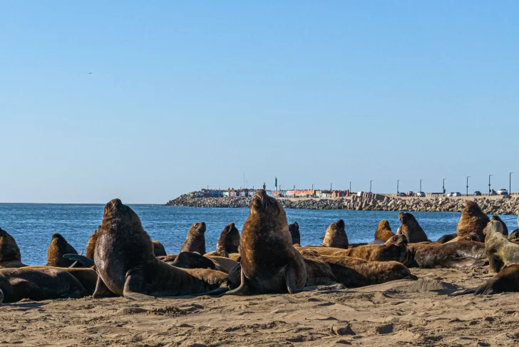 Pronóstico: cómo va a estar el clima este sábado en Necochea y Quequén