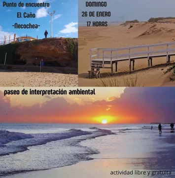 Jornada de concientización ambiental en la playa