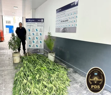 Le allanaron la casa por un robo y encontraron droga valuada en 25 millones