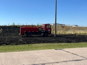 Incendio de pastizales en Ruta 85