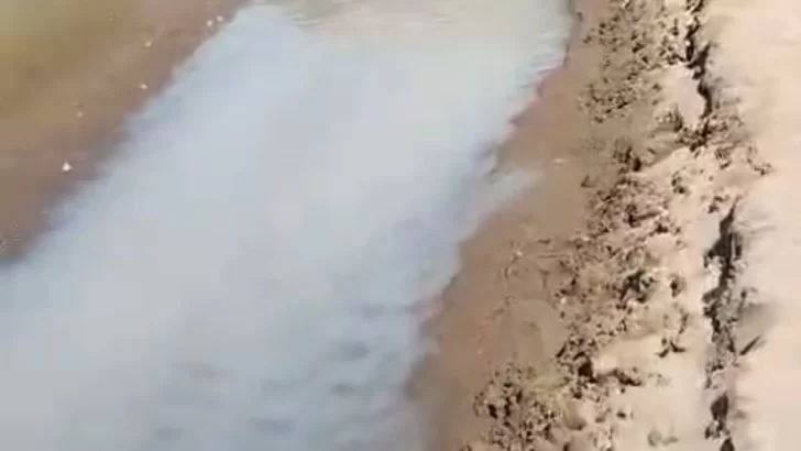 Concejales se reuniran por los desechos cloacales en la playa