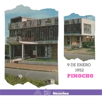 Pinocho-Museo-728x728