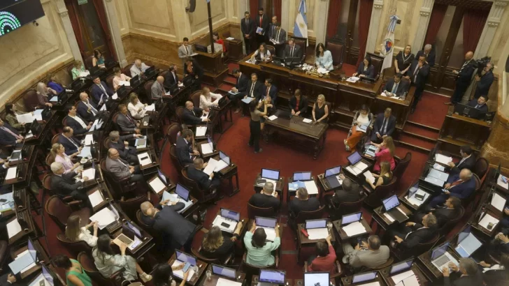 Senado: sin aumento, pero con “aguinaldo” de $2,5 millones en enero