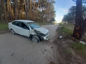 Alcoholizado chocó contra un árbol en el Parque