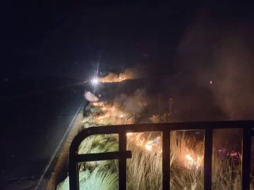 Bomberos de Necochea y La Dulce apagaron incendio en la Ruta 86