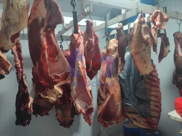 Infracciones en carnicerías: incautan 90 kilos de carne