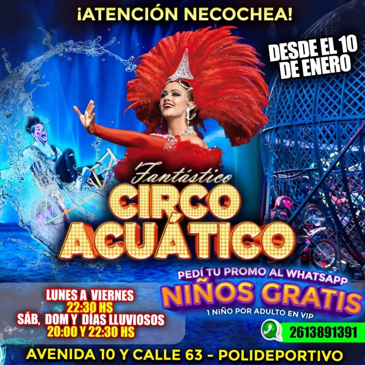 circo-acuatico-728x728