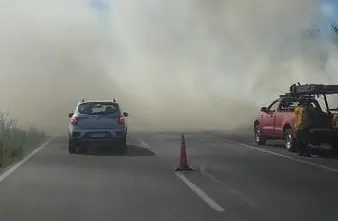 Impactante incendio forestal al costado de la ruta 226