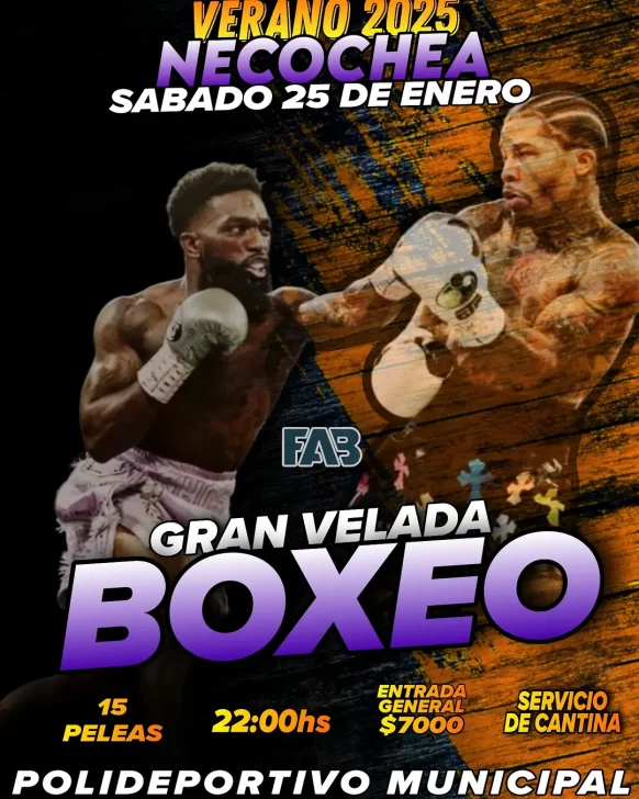 velada-boxeo-582x728