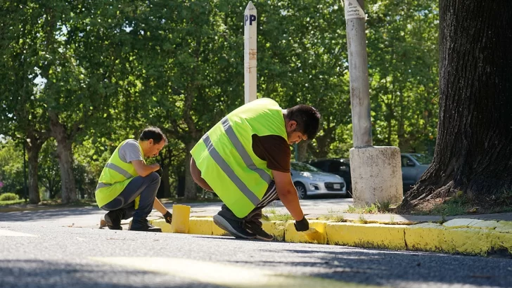 Vía pública: señalizan las paradas de colectivos