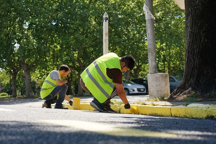 Vía pública: señalizan las paradas de colectivos