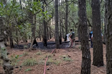 Fuego intencional en el Parque: Defensa Civil y Guardaparques lo apagaron