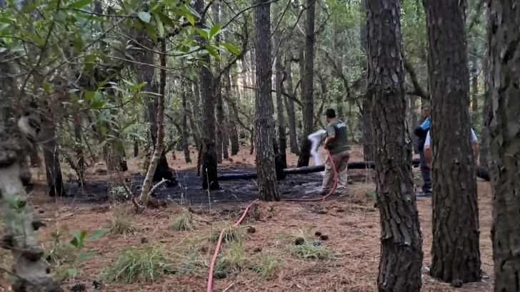 Fuego intencional en el Parque: Defensa Civil y Guardaparques lo apagaron