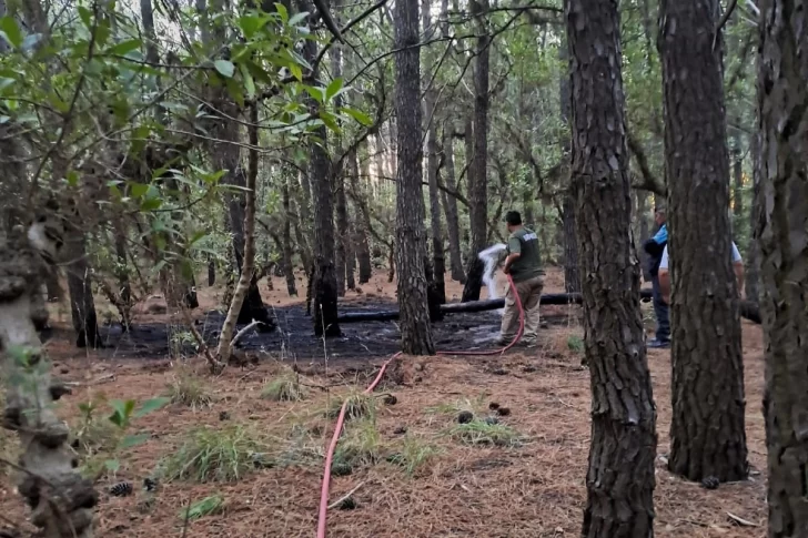 Fuego intencional en el Parque: Defensa Civil y Guardaparques lo apagaron