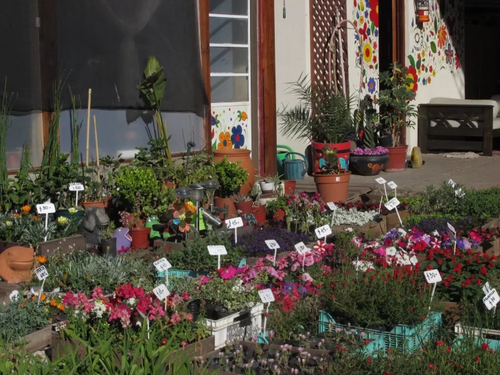 Cierra uno de los viveros más antiguos de Necochea y Quequén