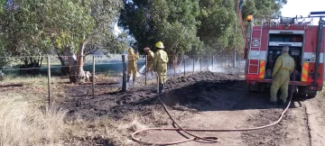 Bomberos actuaron en incendios cerca de La Dulce