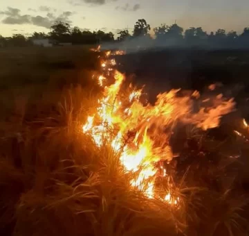 Incendio de pastizales en la 91: rápida intervención evita mayores daños