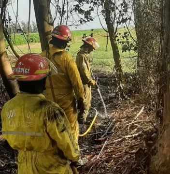 Bomberos en La Dulce en alerta: apagaron varios incendios