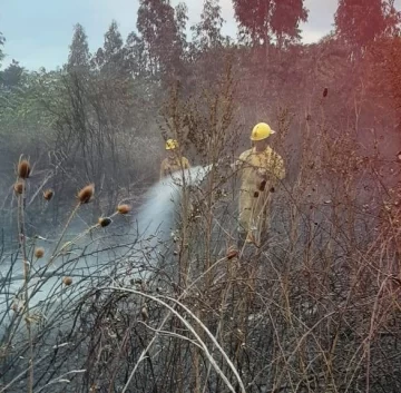 Incendio en un terreno baldio movilizó a los bomberos