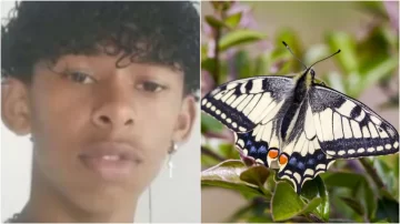 Murió a los 14 años por inyectarse fluido de una mariposa en un reto viral