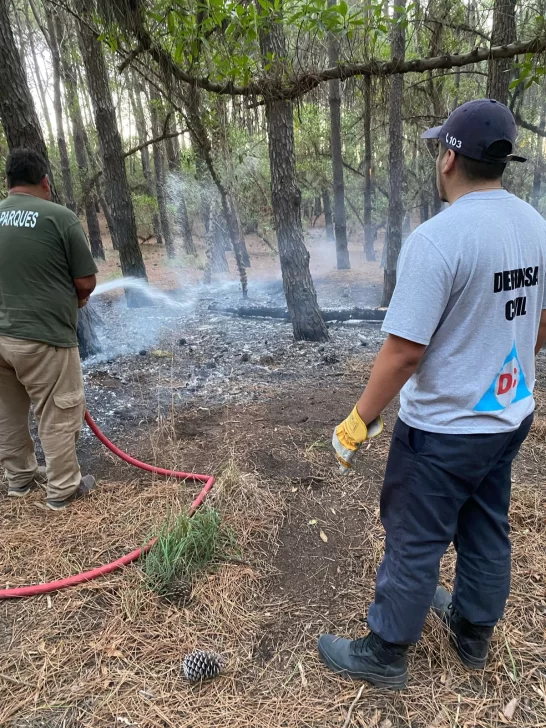 Incendio en el parque Miguel Lillo