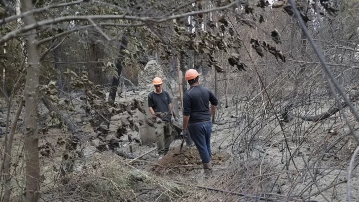 Incendios en El Bolsón: el emocionante llanto de los vecinos por la lluvia