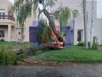 Graves destrozos por el fuerte temporal de viento y lluvia