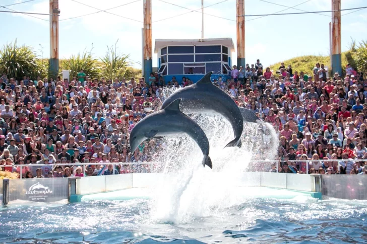 Anuncian el cierre definitivo del Aquarium Mar del Plata